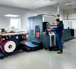 Digital, Offset, and Flexographic Printing: What Are the Differences?