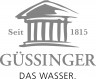 Gussinger